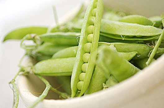 蔬菜害虫种类知识汇总